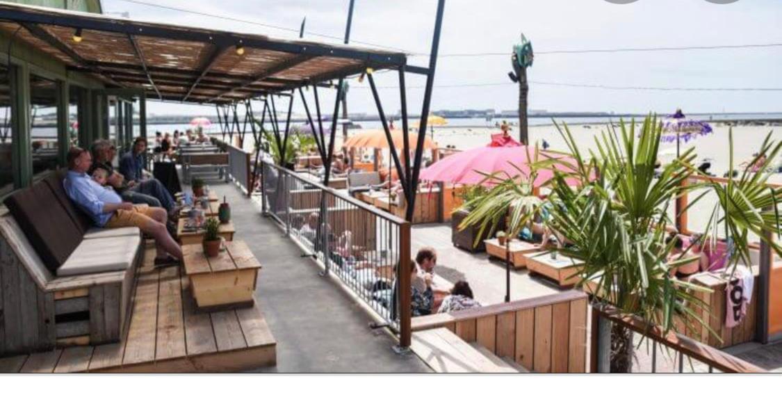 Beautiful House At Beach, Sea And Dunes Wijk aan Zee Ngoại thất bức ảnh